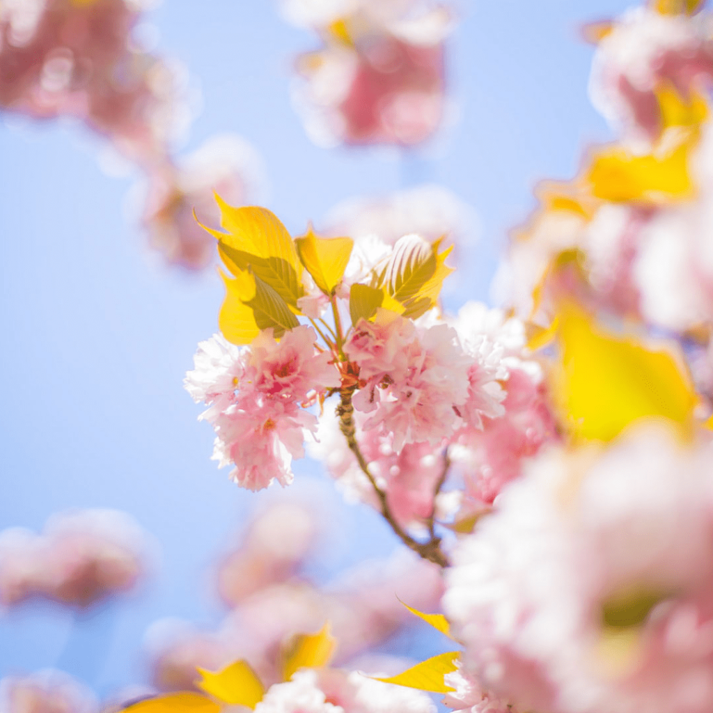 how to occupy your little ones Samphire Photography