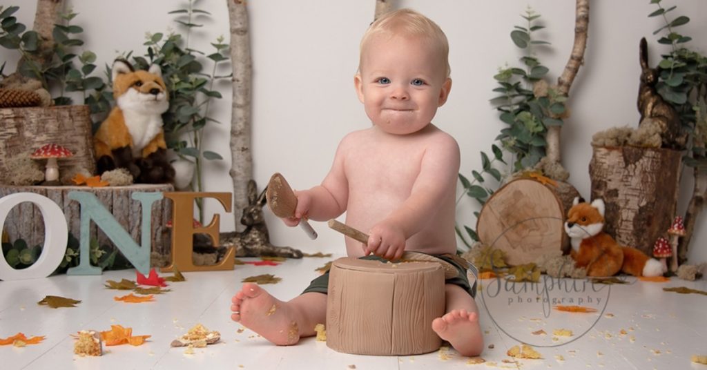 woodland foxes Cake Smash Photographer Worthing