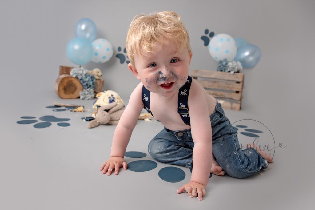 Cake Smash Photographer Sussex puppy dog blue grey