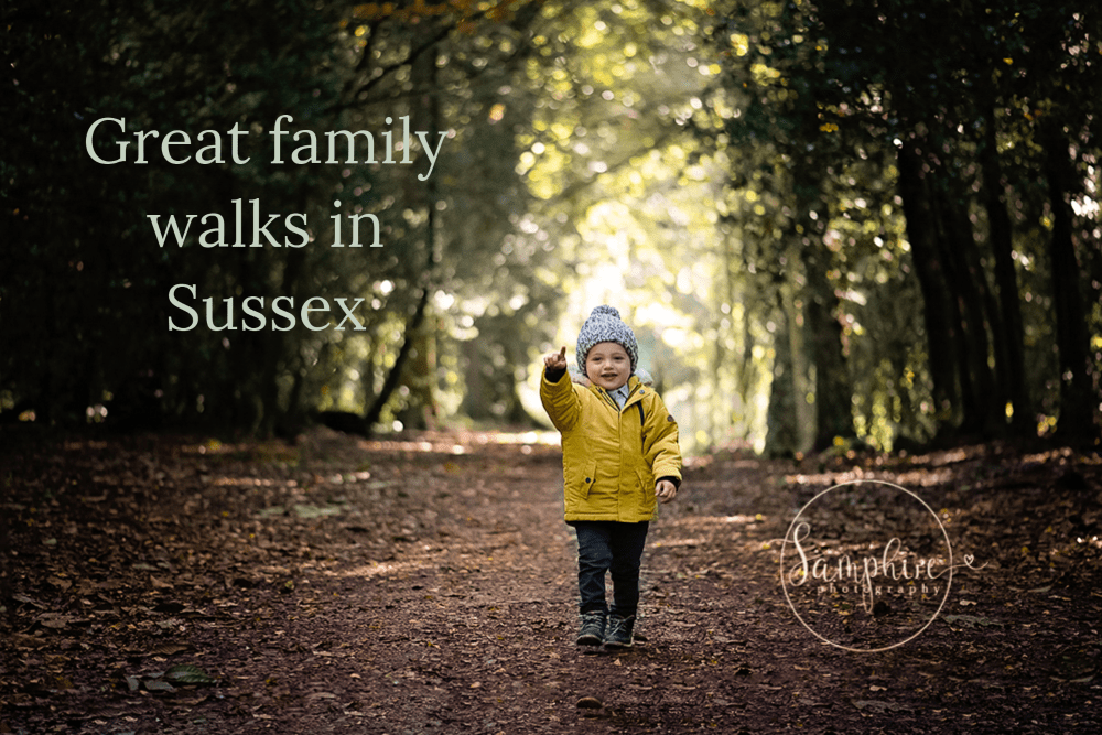 Boy in yellow coat in the woods