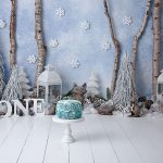 snowy winter theme cake smash set up