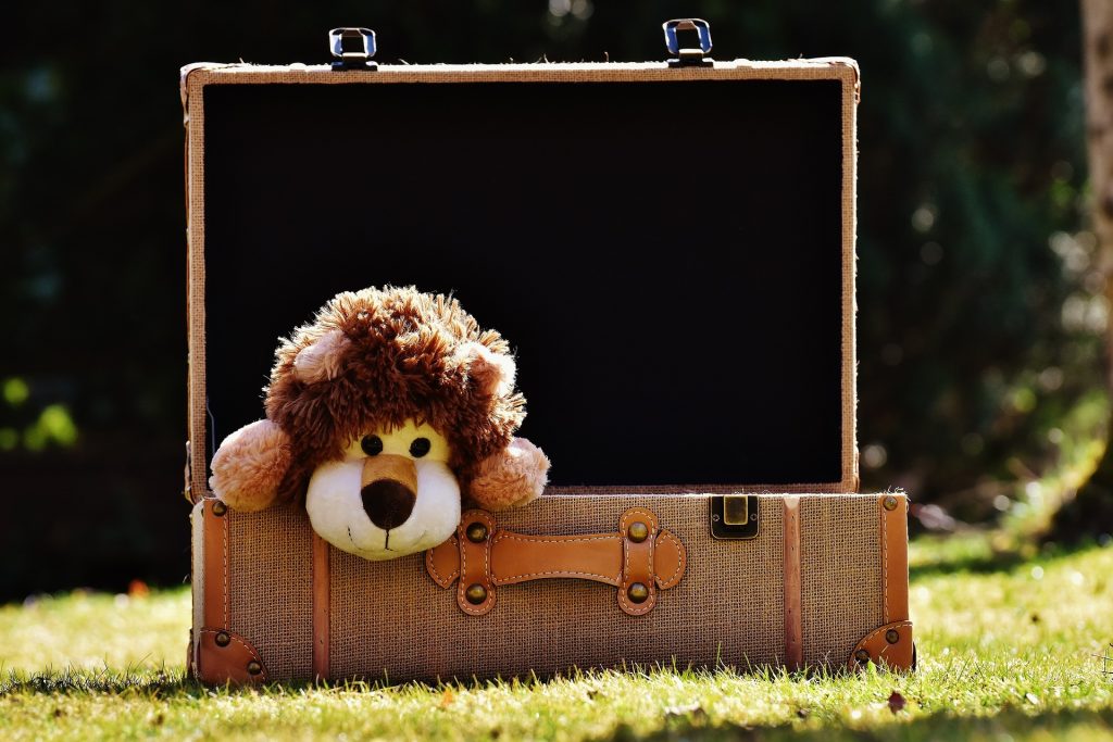 cuddly toy lion in suitcase baby's memory box