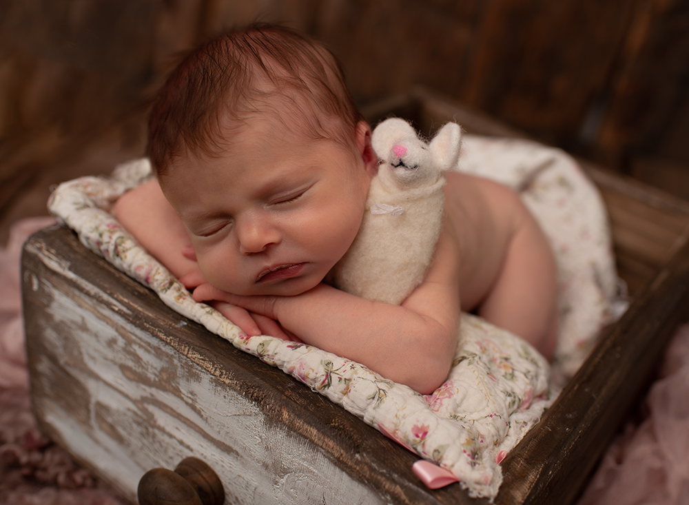 Photographic portrait of newborn baby girl with felted mouse by Samphire Photography