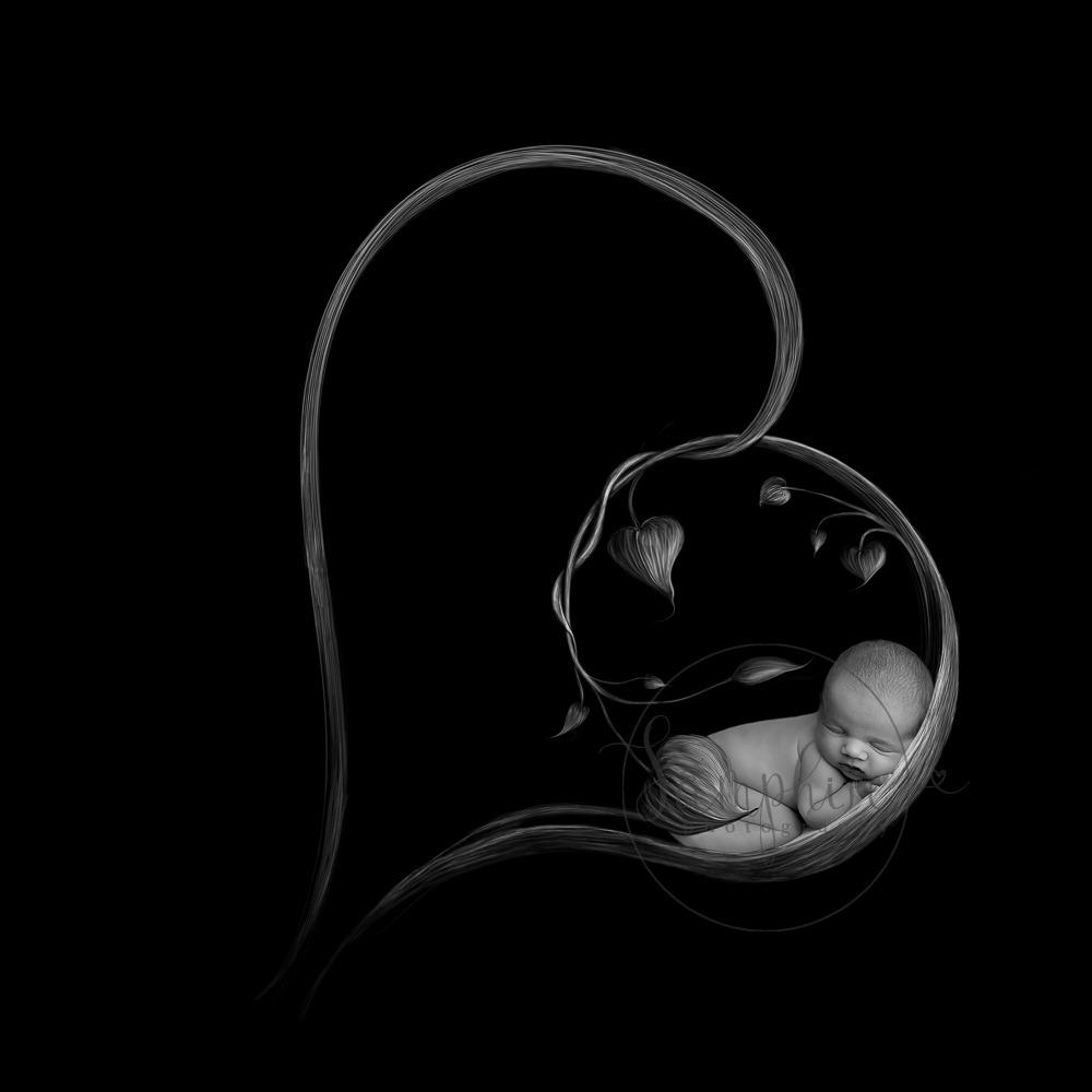 FN-N-10-2018 (37 of 46)