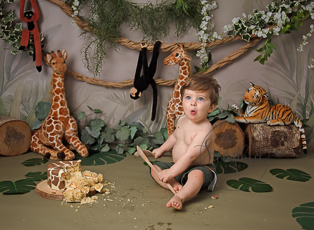 welcome to the jungle cake smash haywards heath