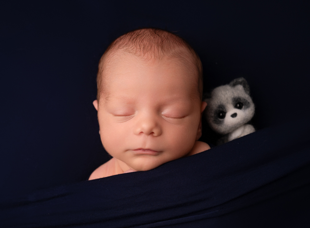 sleeping baby newborn photoshoot