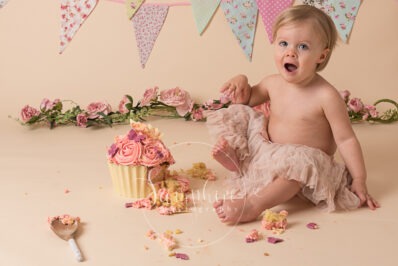 Cake Smash Cupcake butterflies flowers pink bunting photo sussex