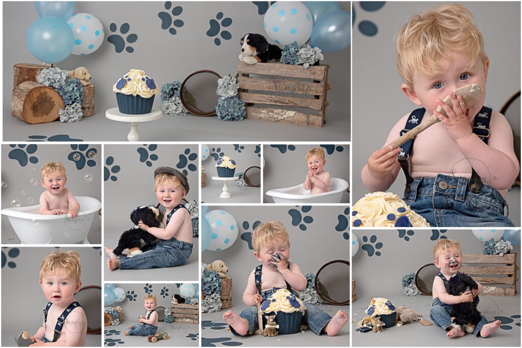 Cake Smash Photographer Samphire Sussex puppy dog blue grey