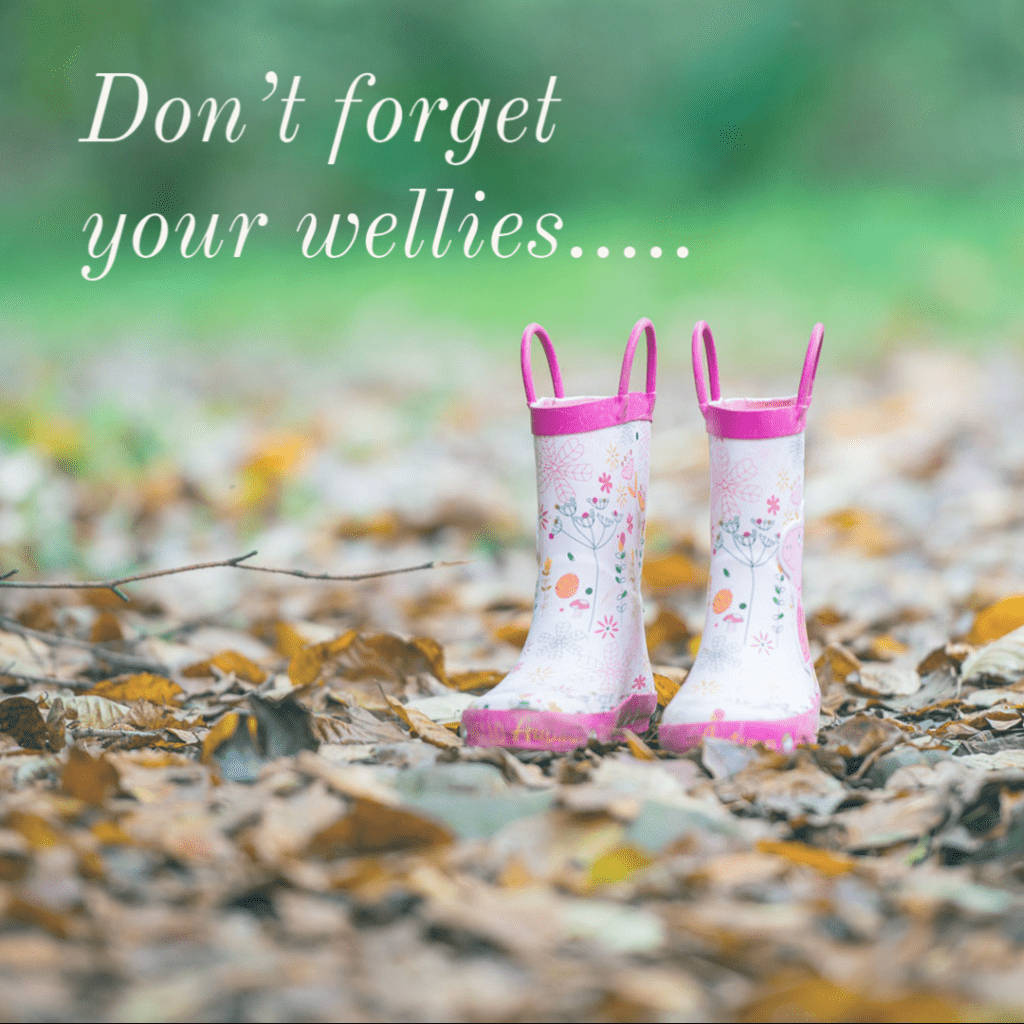 wellies