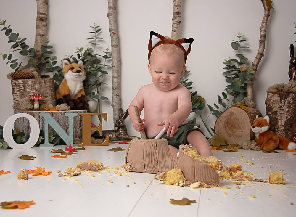 foxy ears woodland cake smash