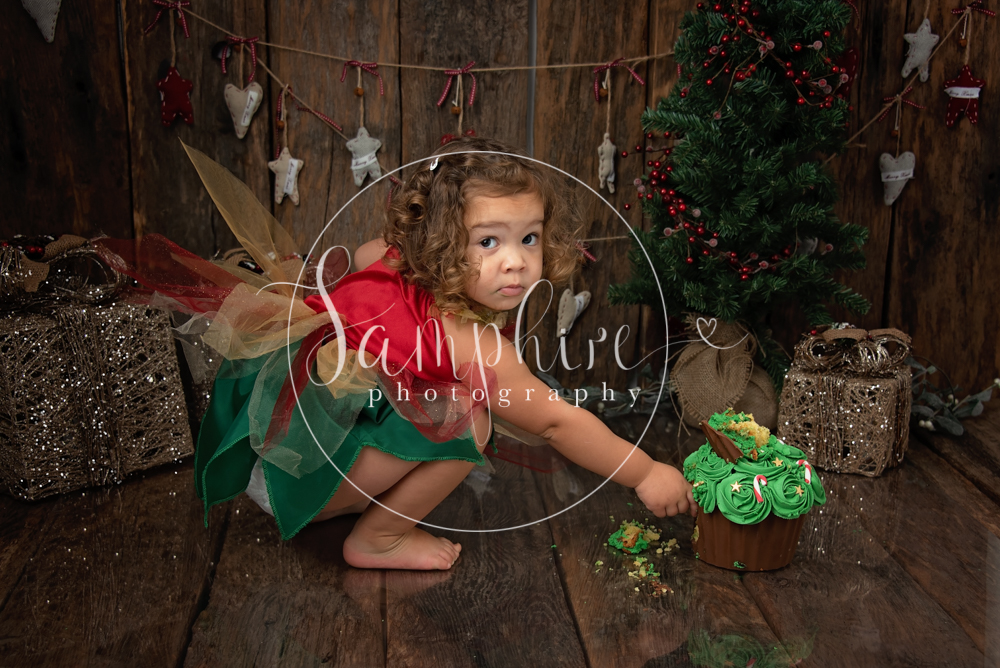 Cutest Christmas fairy with giant cupcake