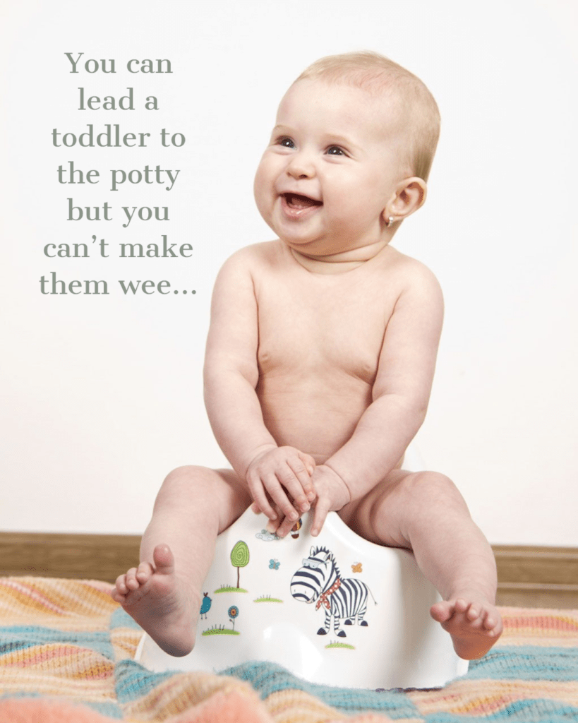 tips for potty training