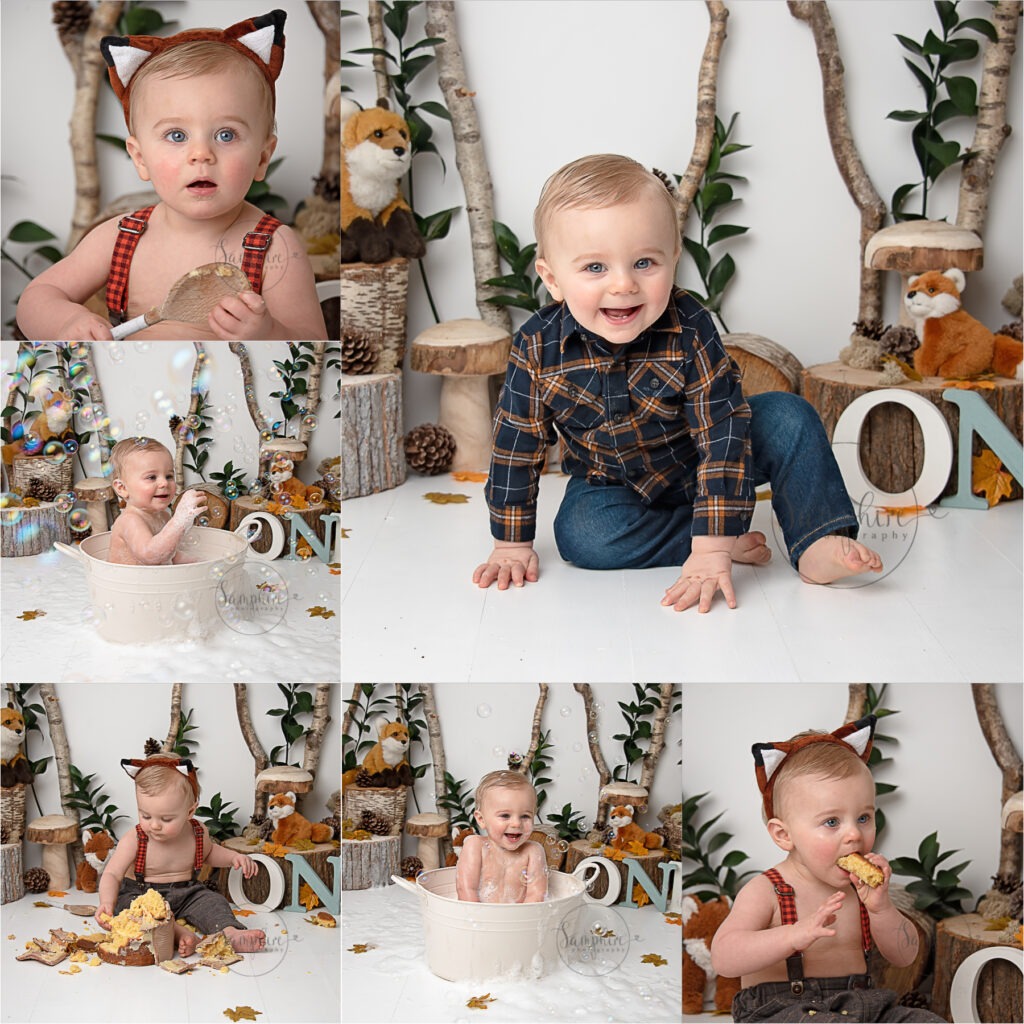 Woodland Cake Smash Horsham foxes montage Samphire Photography Sussex