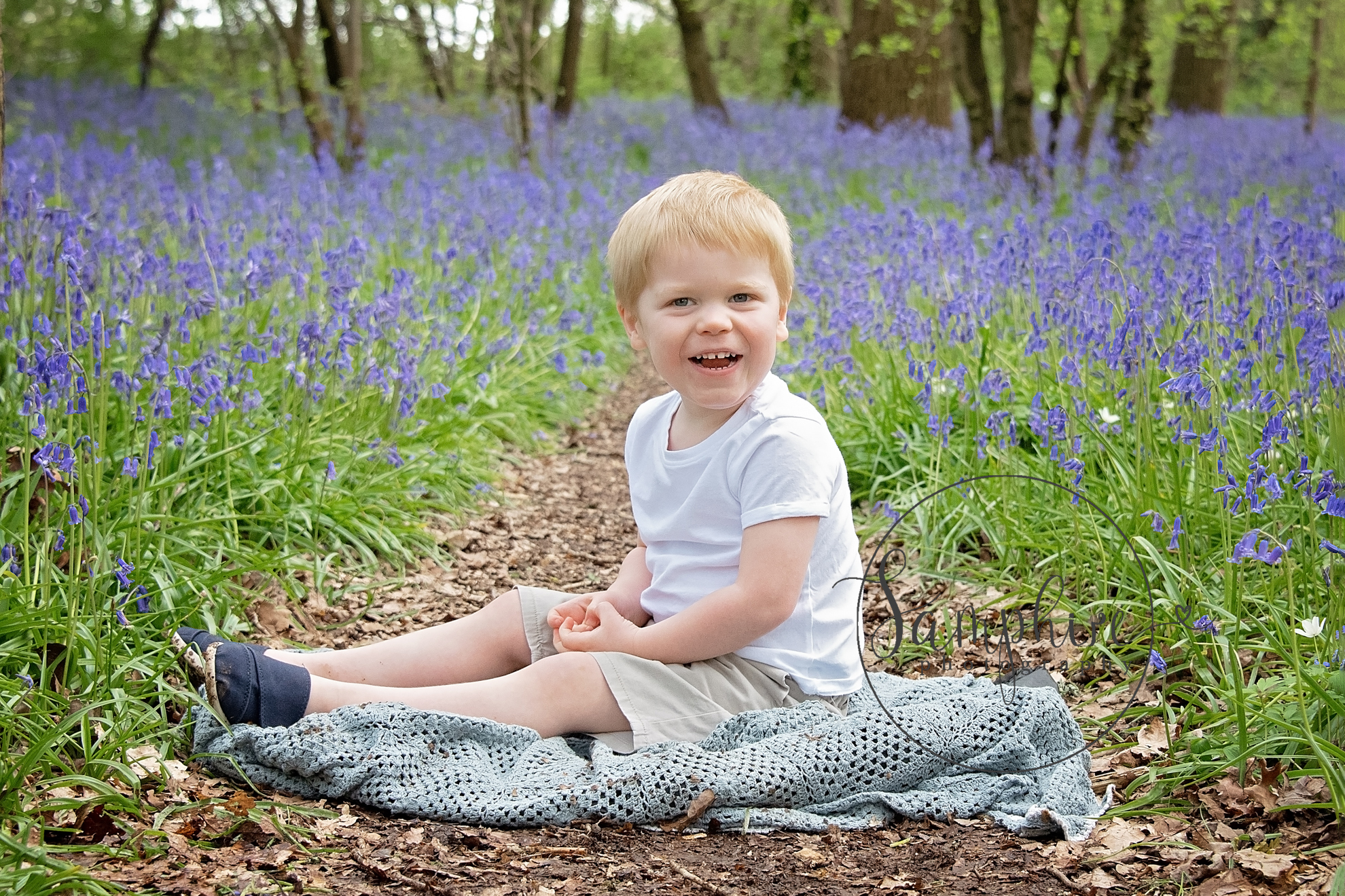 bluebells 2023 (2) copy