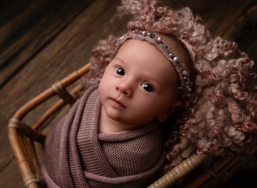 Newborn mini session showing awake baby in basket by Samphire Photography in Sussex